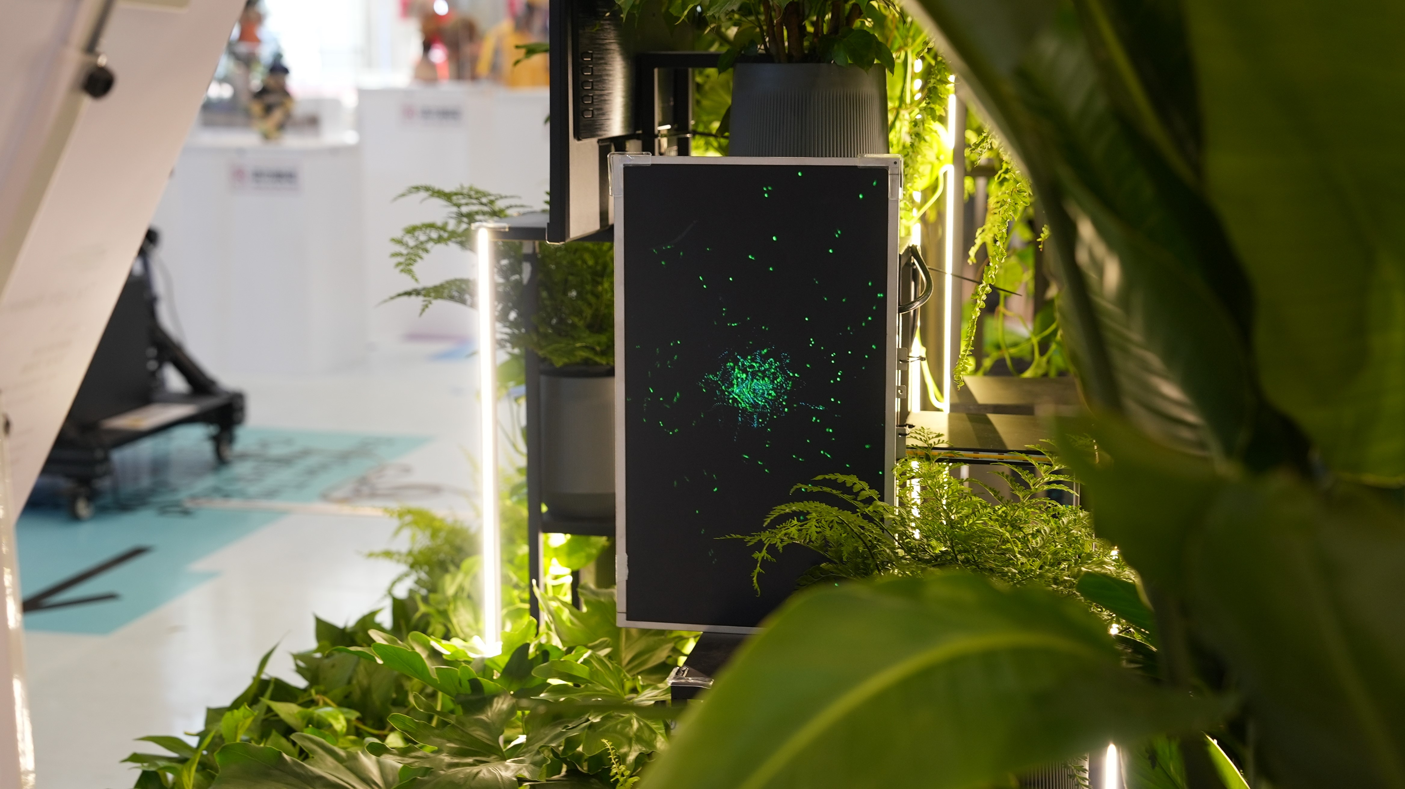 Installation detail — plant and display
