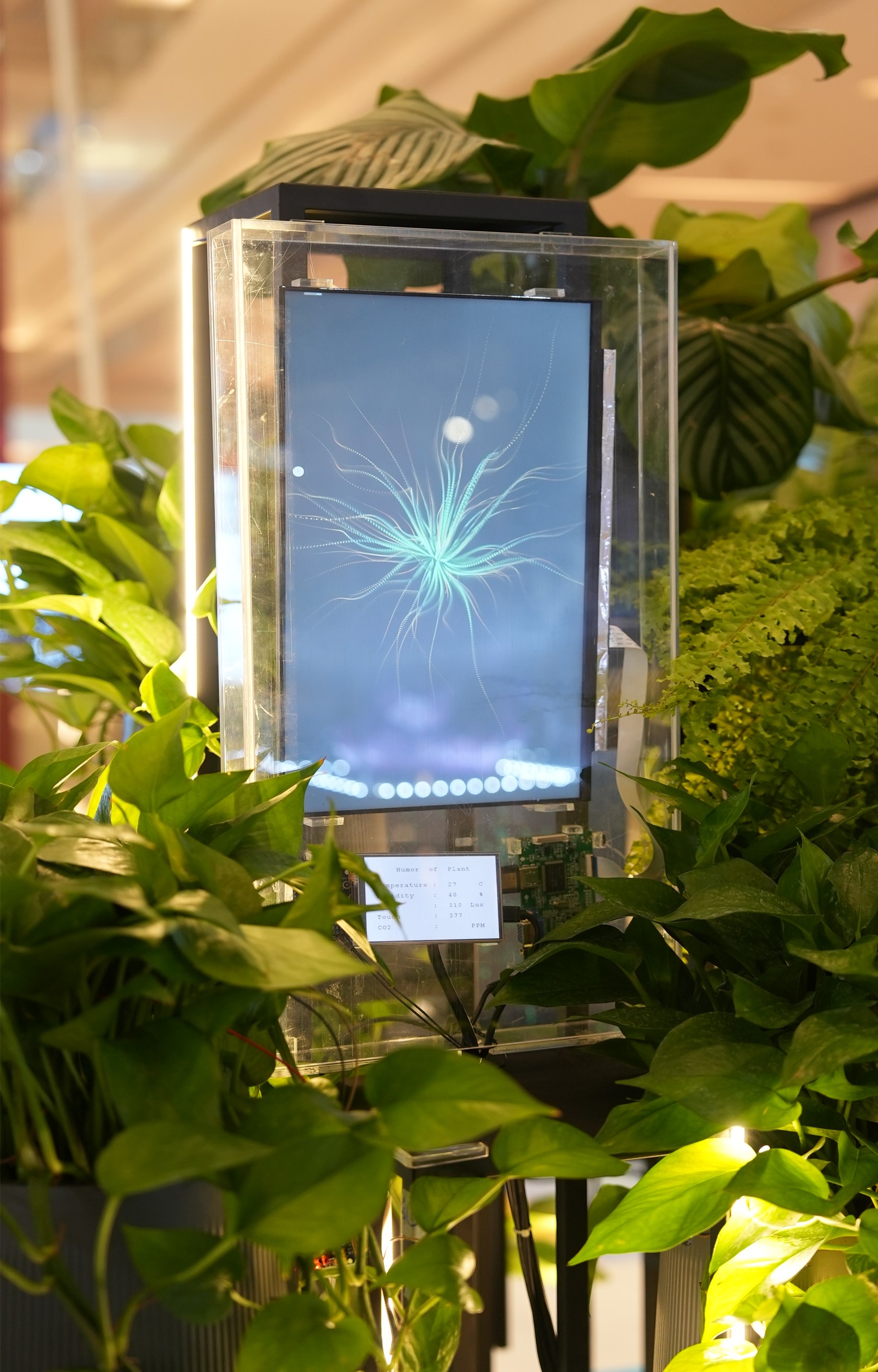 Vertical display module with surrounding plants