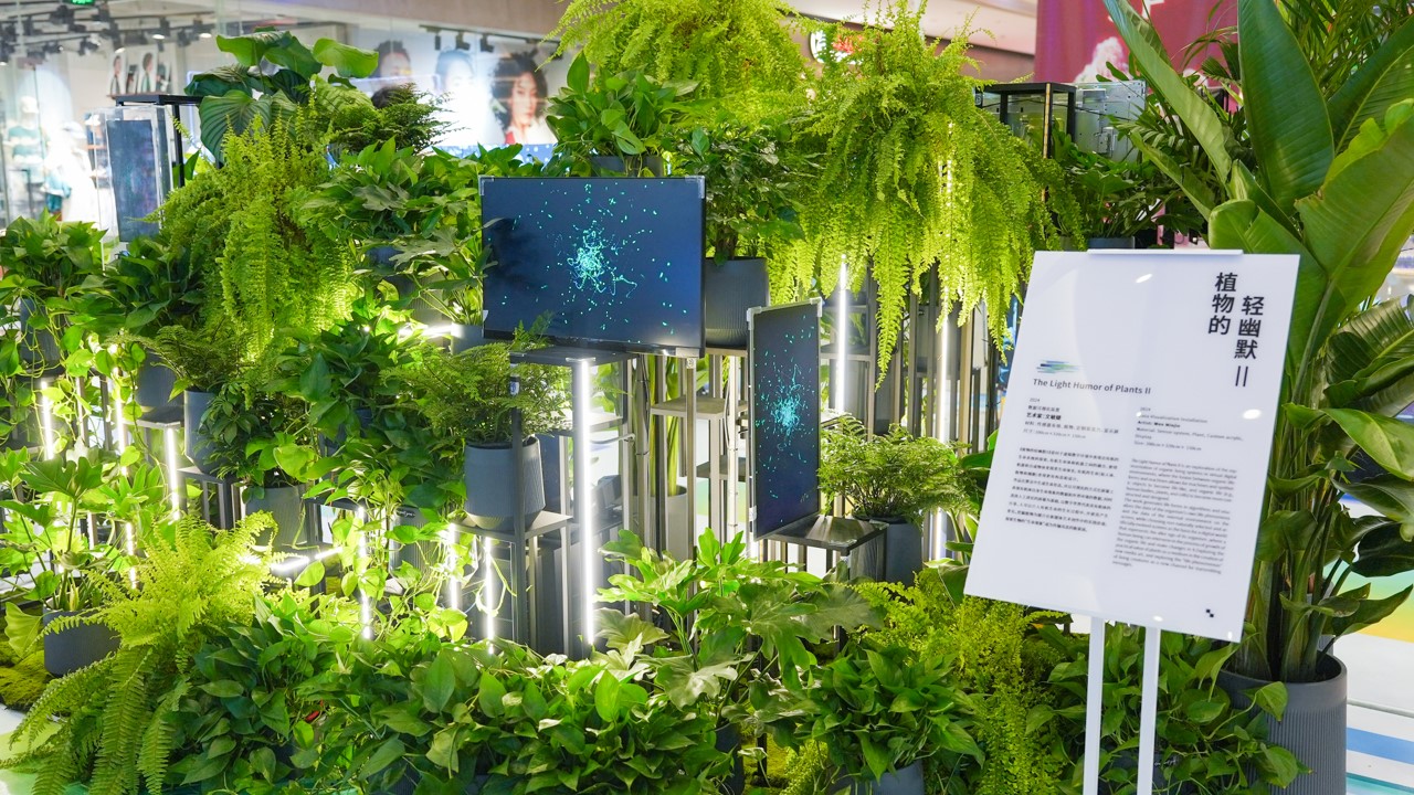 Field study site — exhibition with description panel
