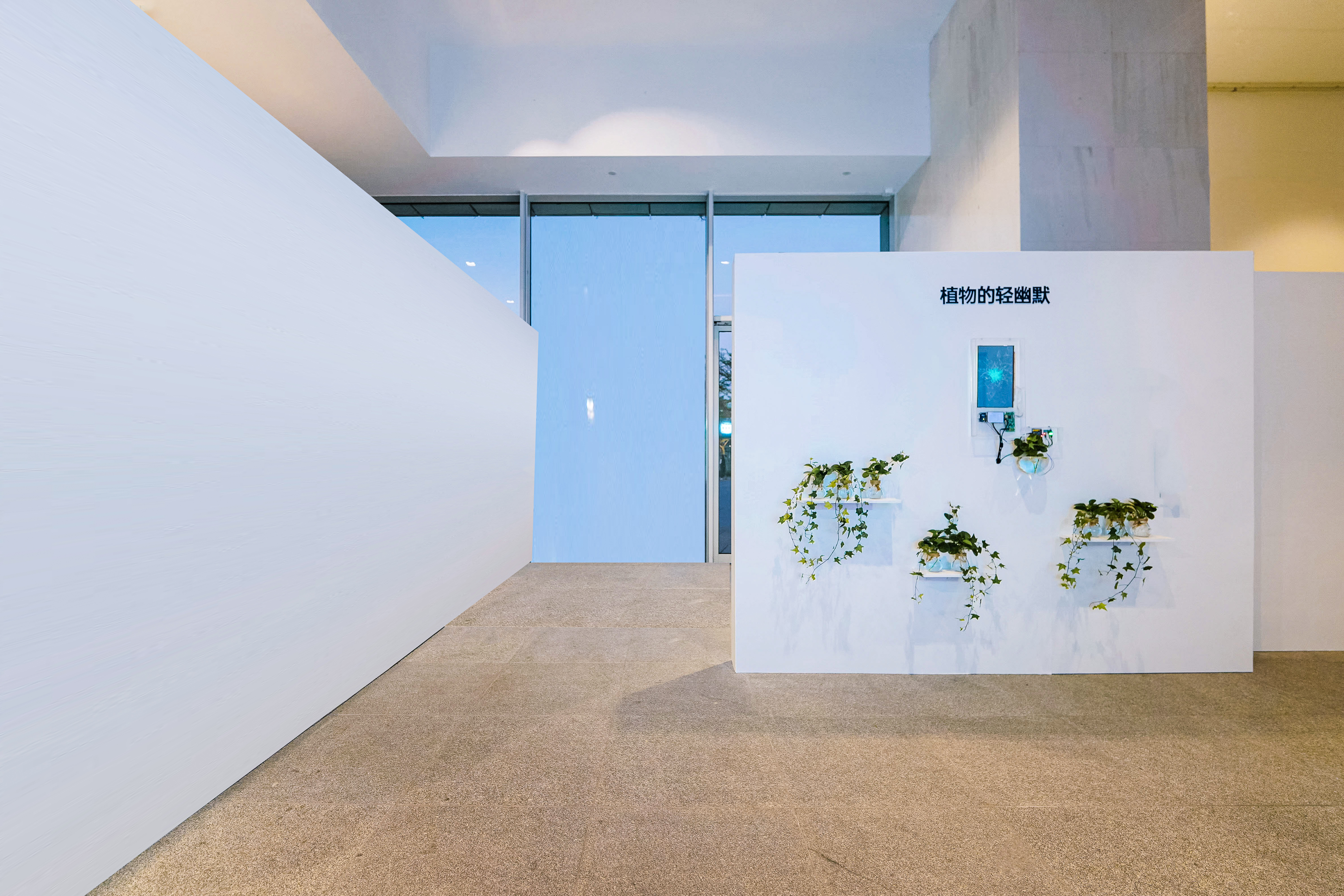 Exhibition view — gallery installation