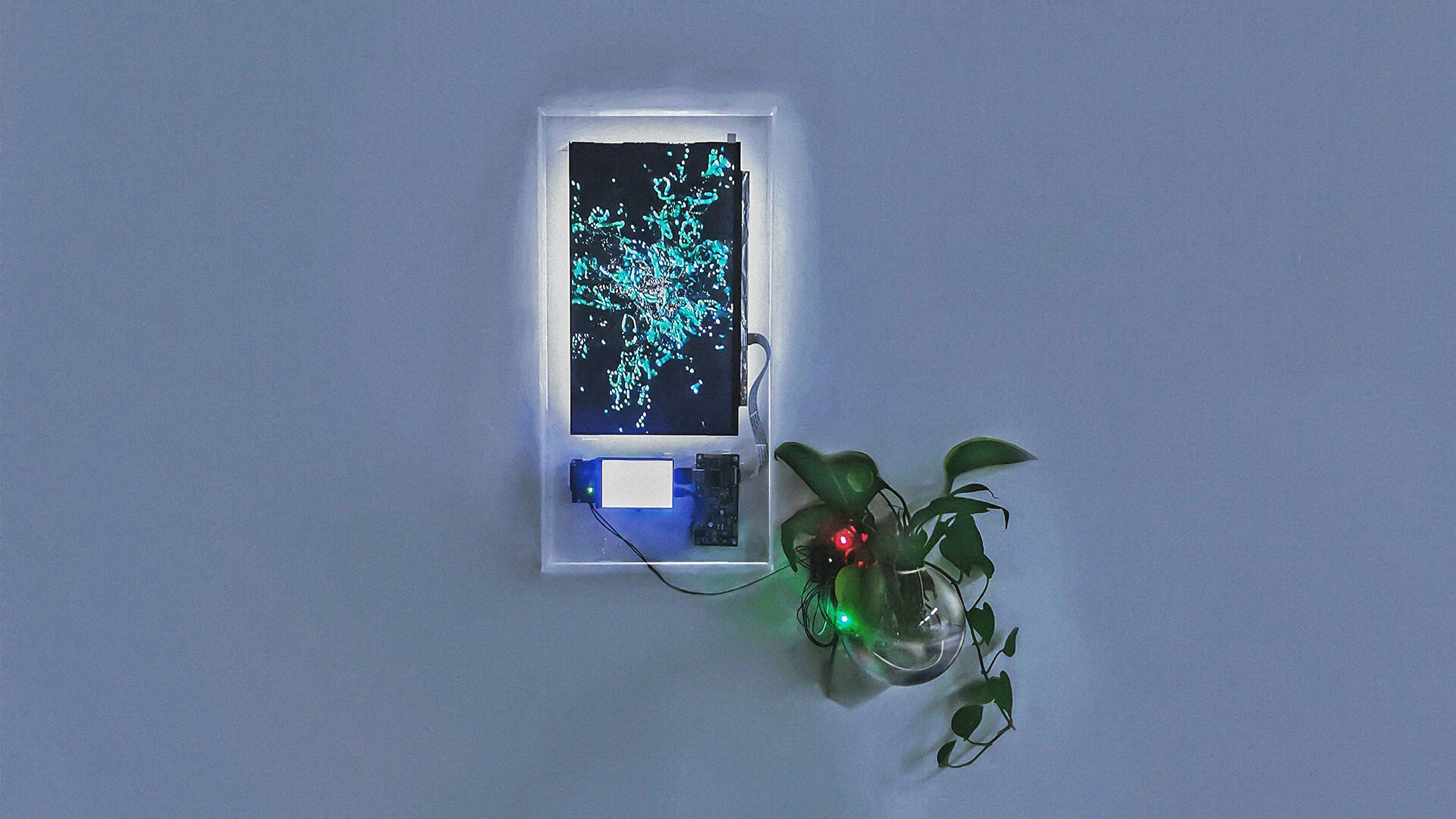 Close-up — display with green plant