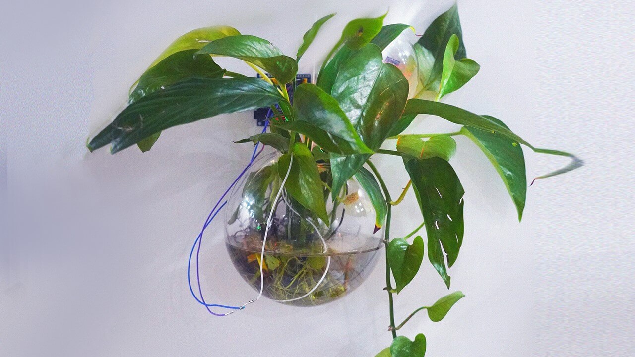 Installation — single plant module