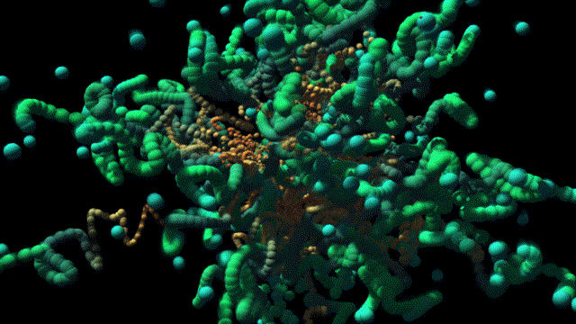 Carbon dioxide response