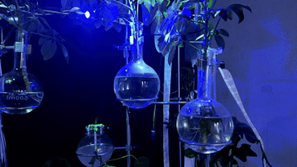 System animation 4
