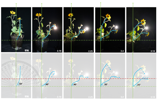 Light experiment — angle measurement