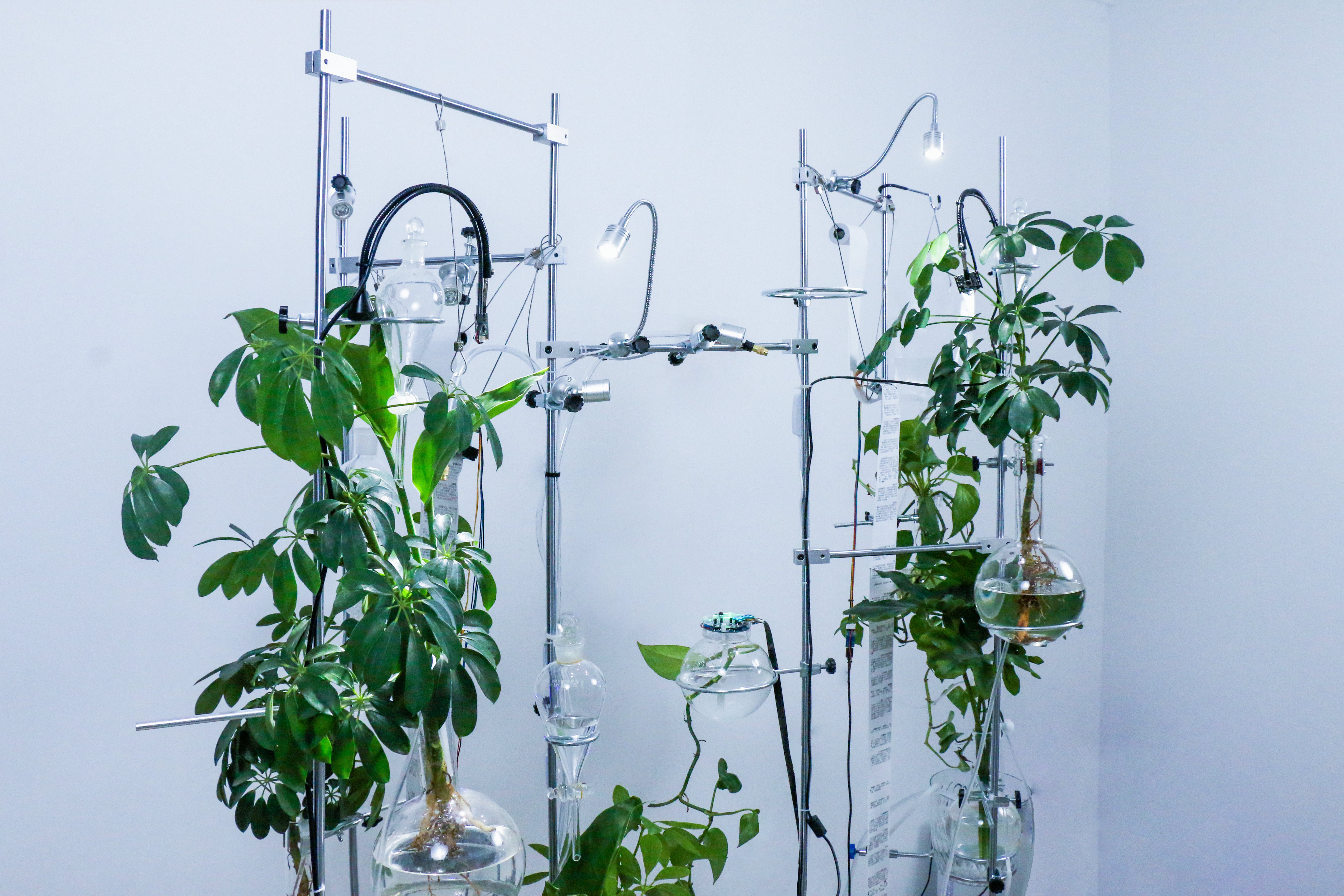 Installation — blue light atmosphere