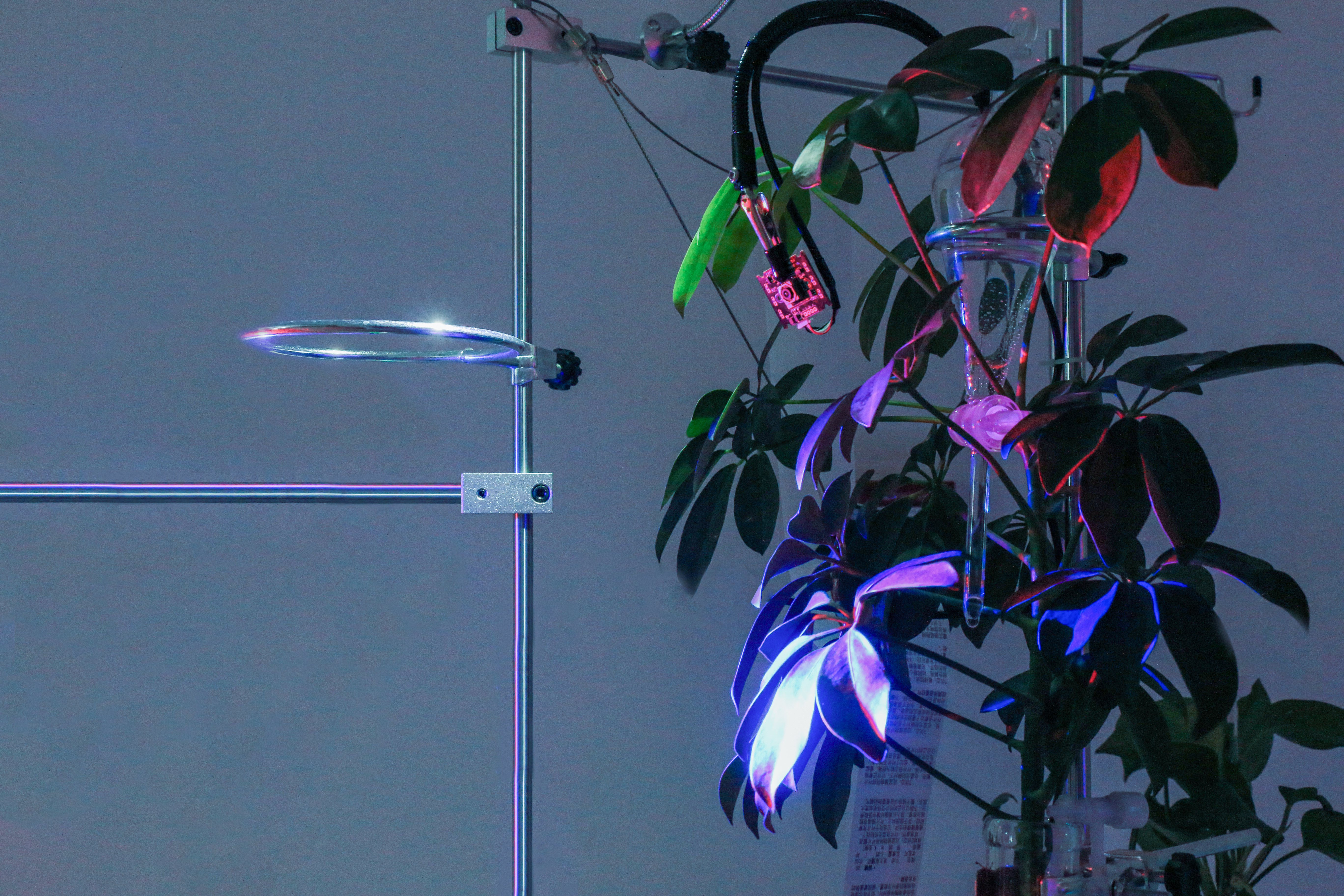 Installation — flask detail