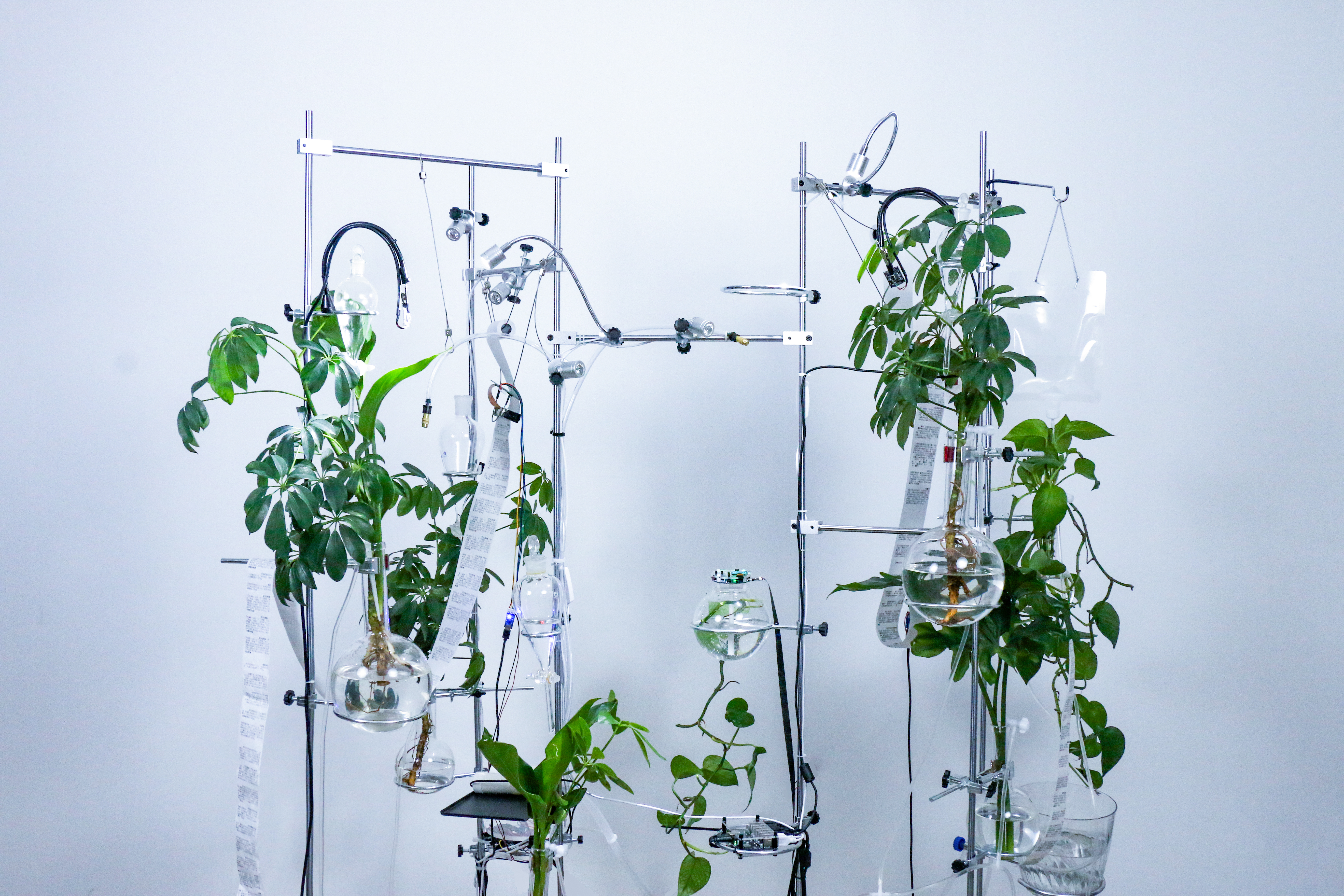 Installation — viewing angle