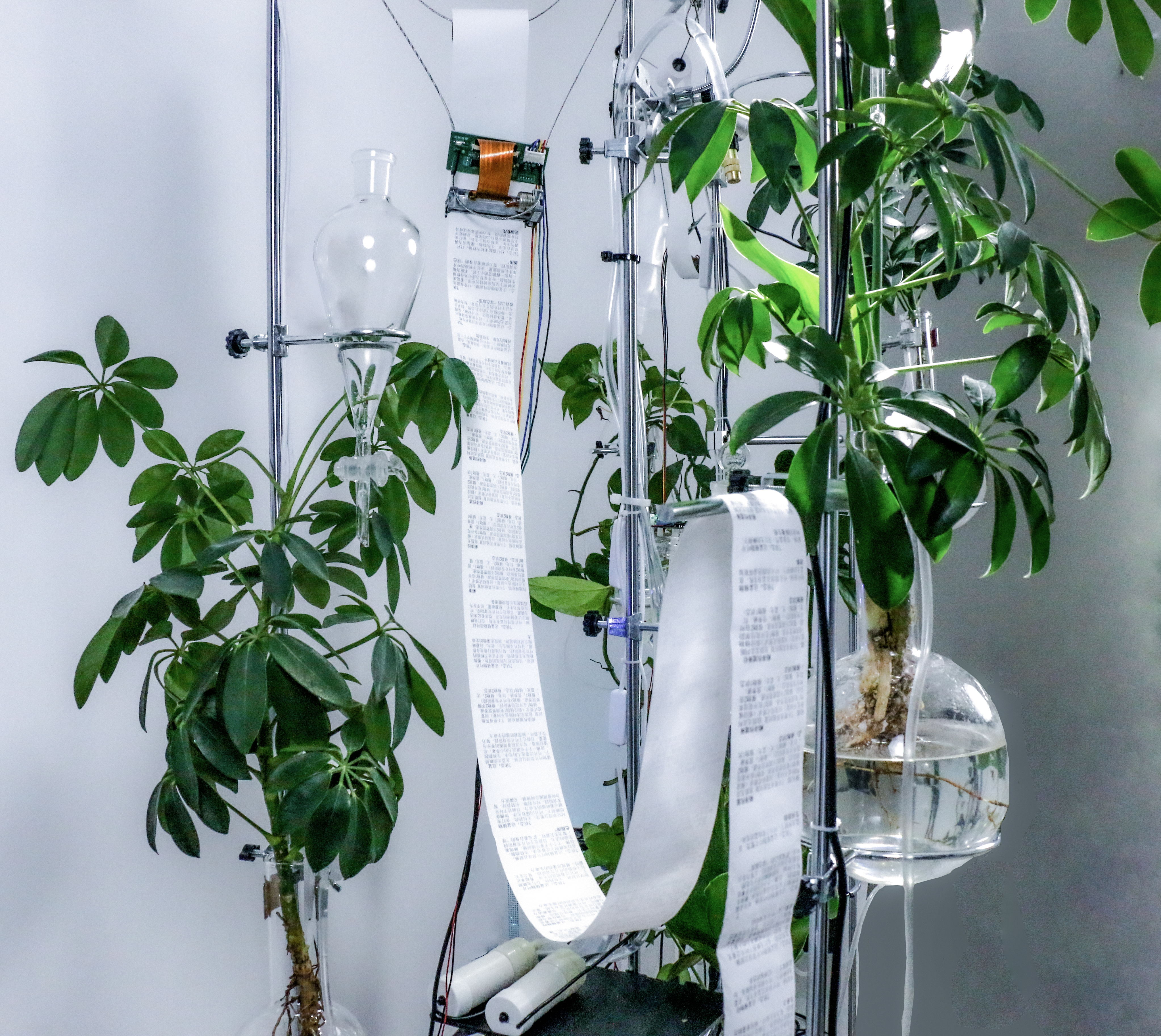 Detail — full setup